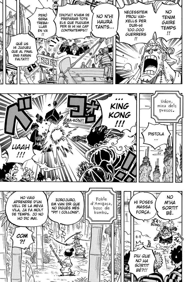 One Piece (Català) (1997) - Capítulo 955 - Página 9 - LectorTMOo