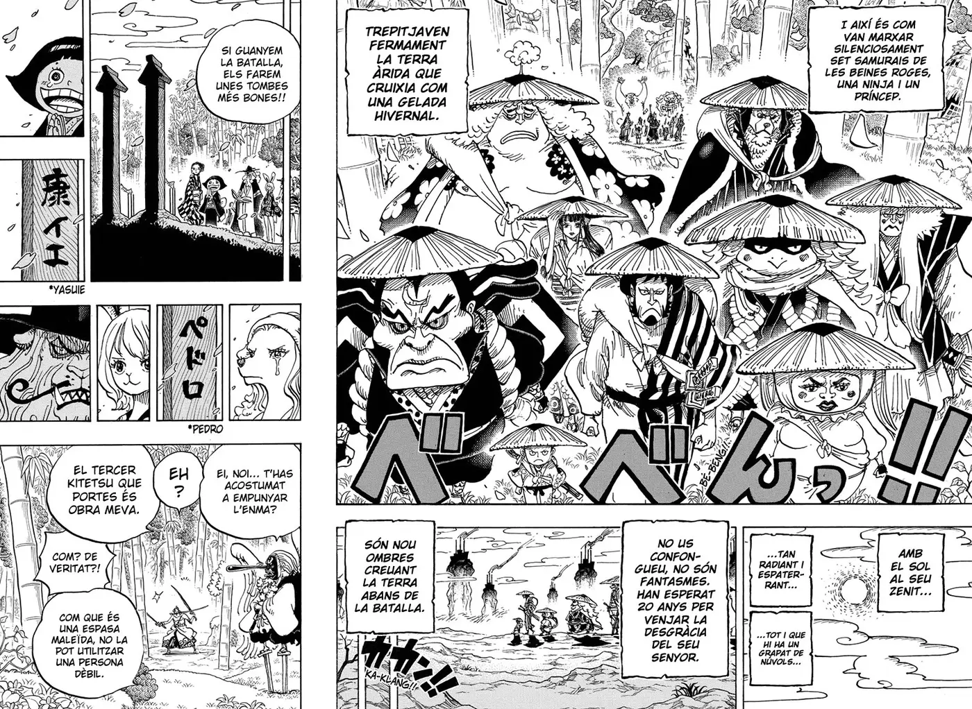 One Piece (Català) (1997) - Capítulo 955 - Página 14 - LectorTMOo