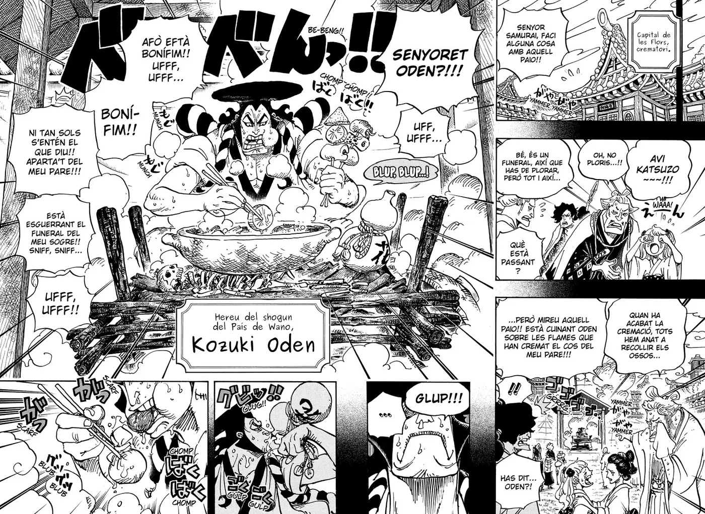 One Piece (Català) (1997) - Capítulo 960 - Página 12 - LectorTMOo