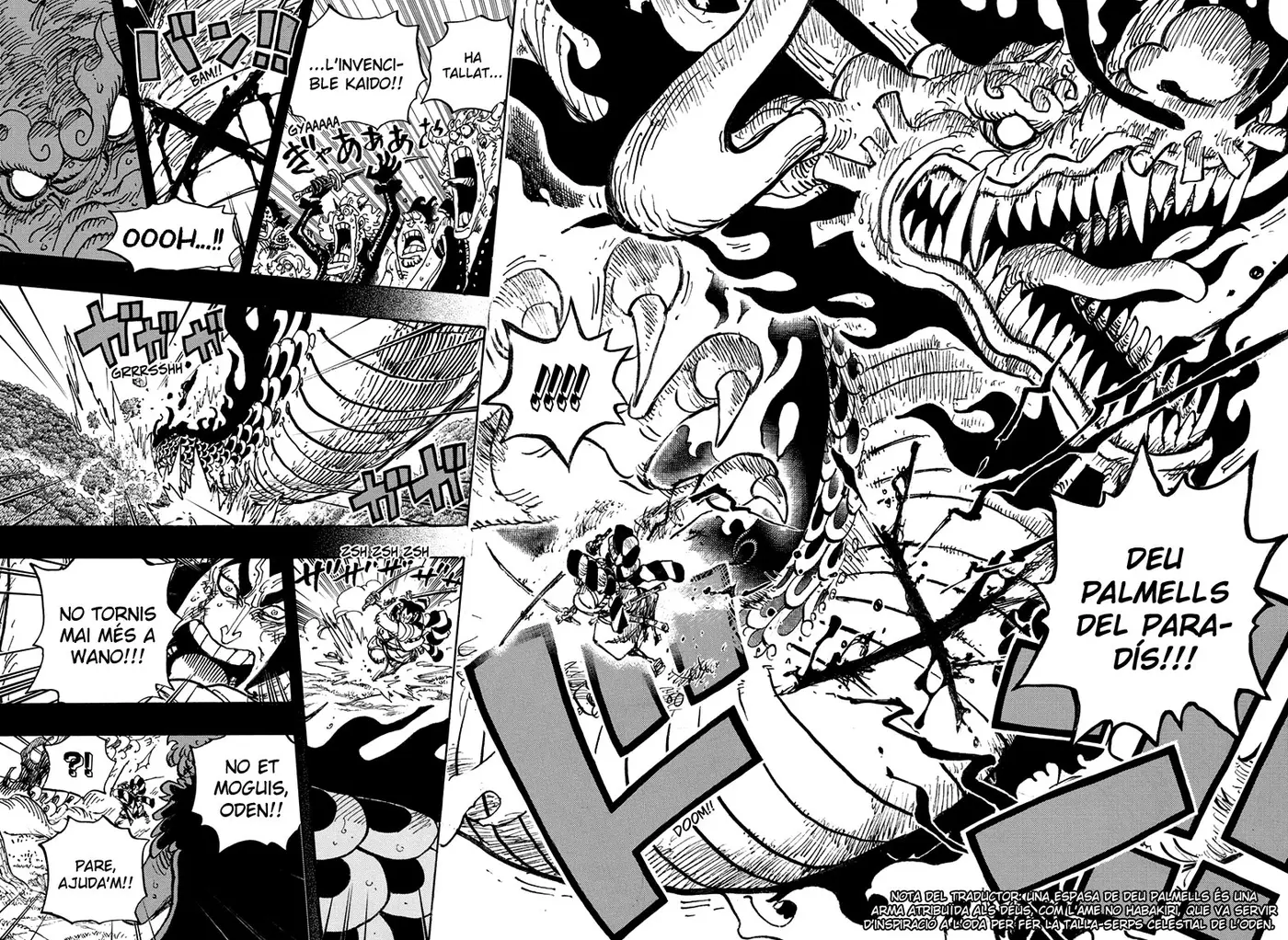 One Piece (Català) (1997) - Capítulo 970 - Página 12 - LectorTMOo
