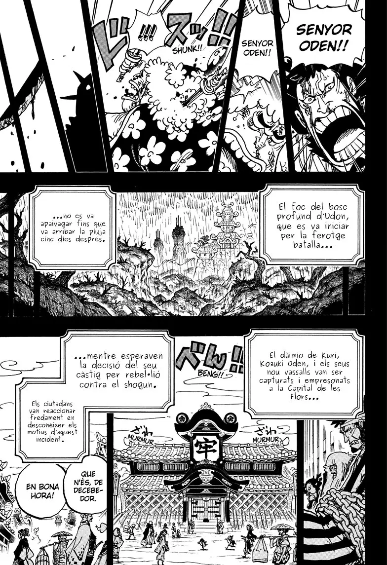 One Piece (Català) (1997) - Capítulo 970 - Página 14 - LectorTMOo