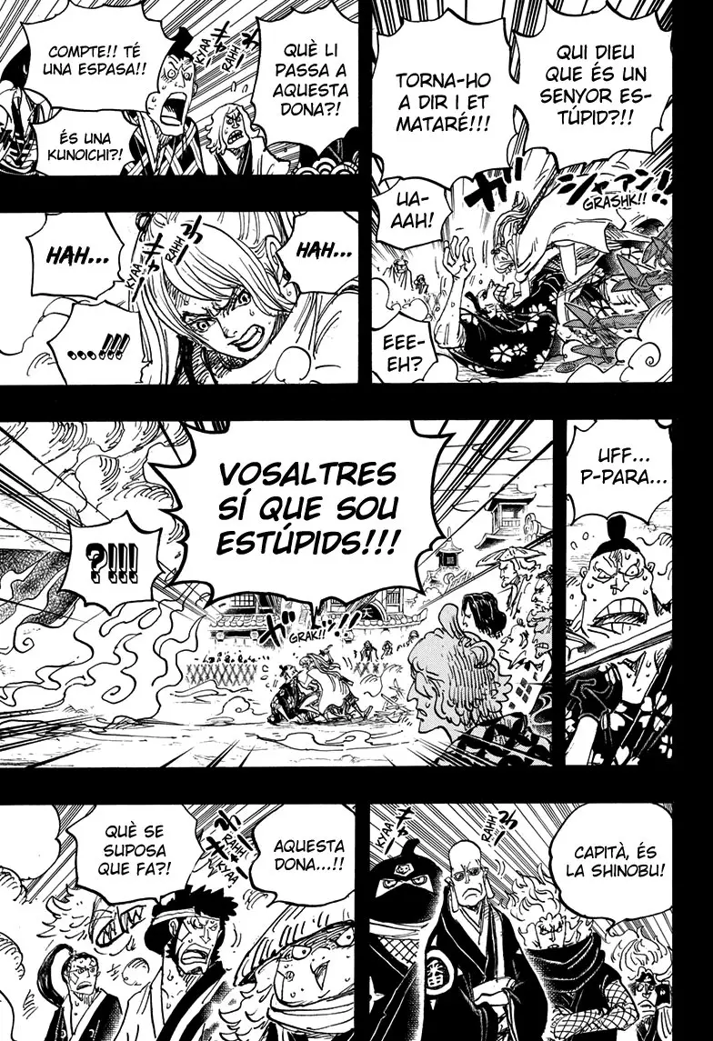 One Piece (Català) (1997) - Capítulo 971 - Página 15 - LectorTMOo