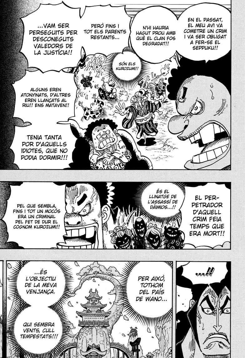 One Piece (Català) (1997) - Capítulo 971 - Página 17 - LectorTMOo