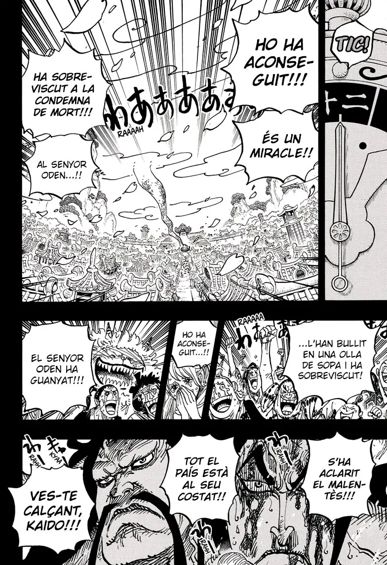 One Piece (Català) (1997) - Capítulo 972 - Página 9 - LectorTMOo