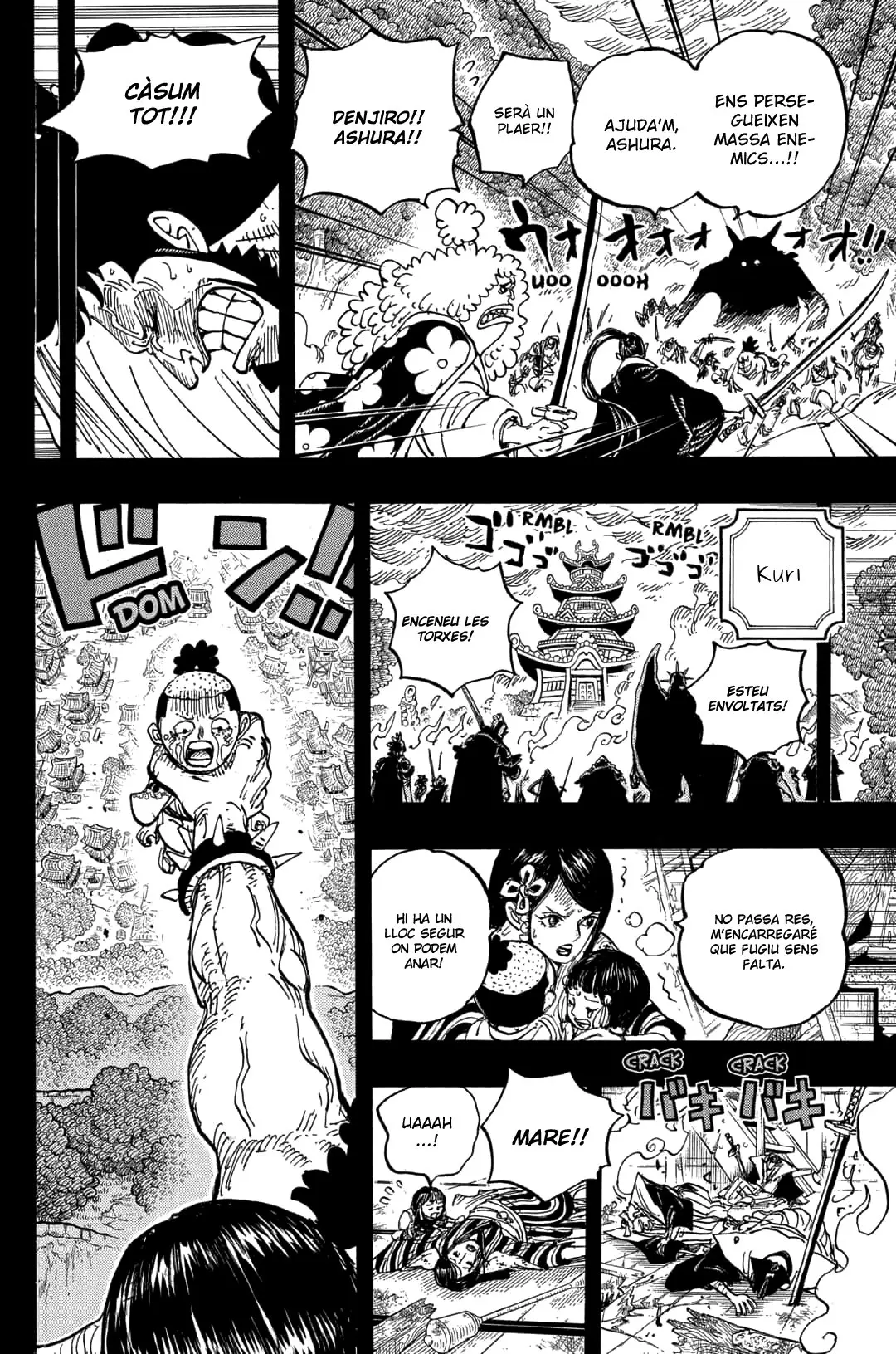 One Piece (Català) (1997) - Capítulo 973 - Página 6 - LectorTMOo