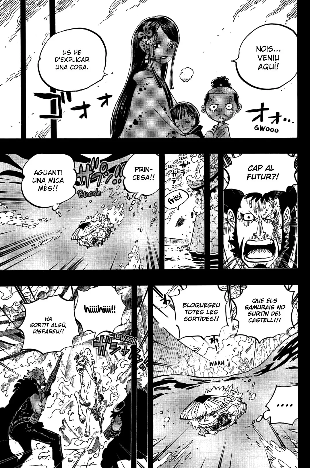 One Piece (Català) (1997) - Capítulo 973 - Página 8 - LectorTMOo