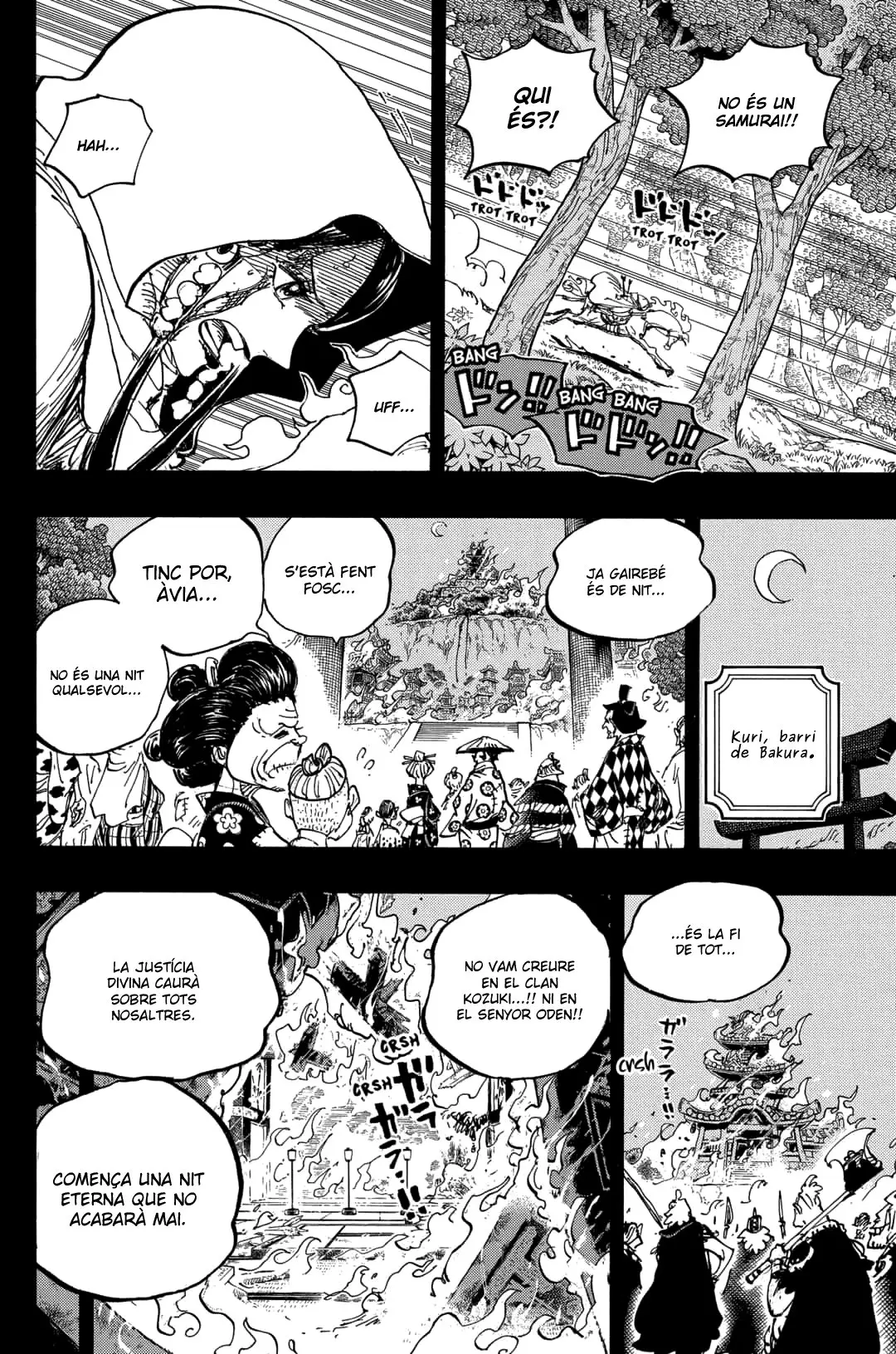 One Piece (Català) (1997) - Capítulo 973 - Página 9 - LectorTMOo