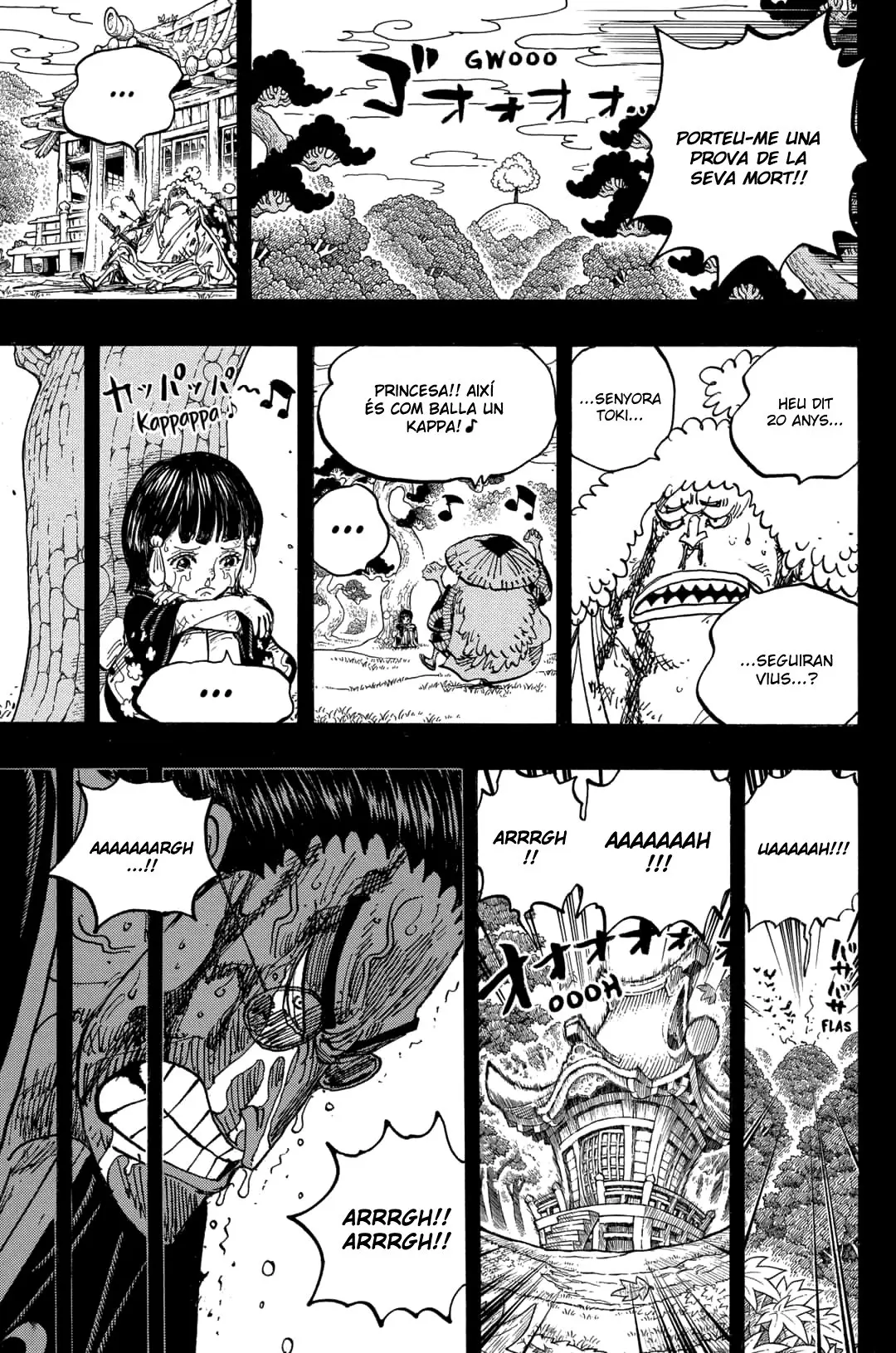 One Piece (Català) (1997) - Capítulo 973 - Página 11 - LectorTMOo