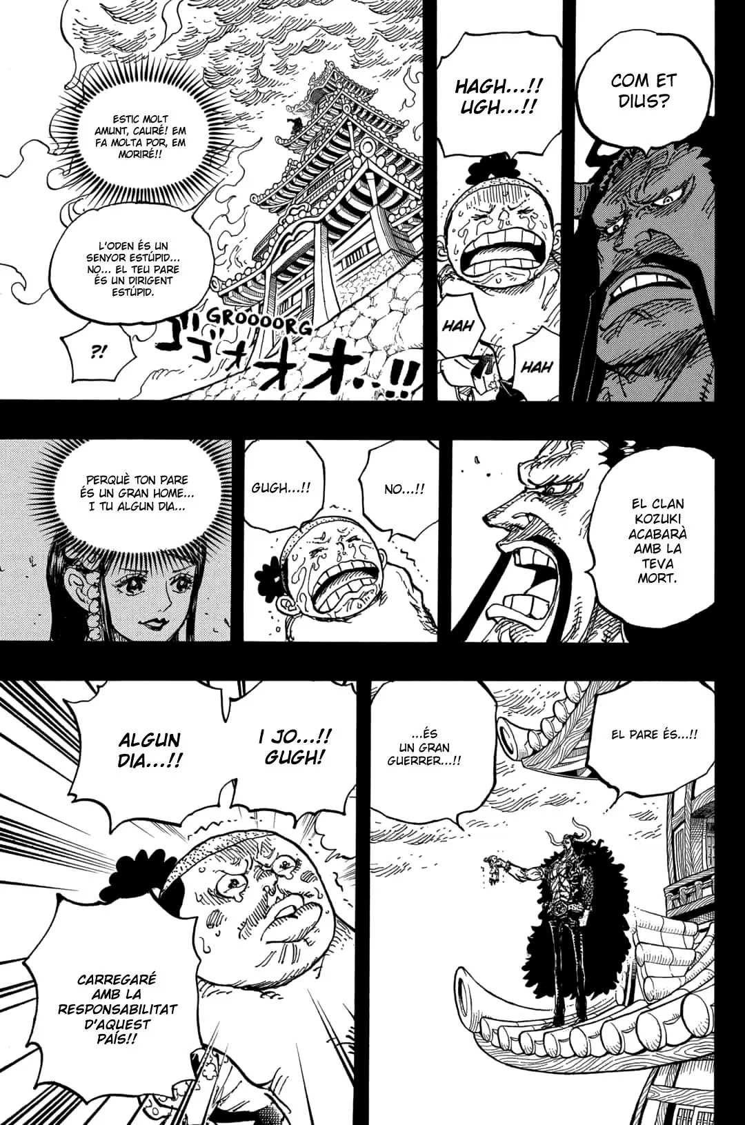 One Piece (Català) (1997) - Capítulo 973 - Página 18 - LectorTMOo
