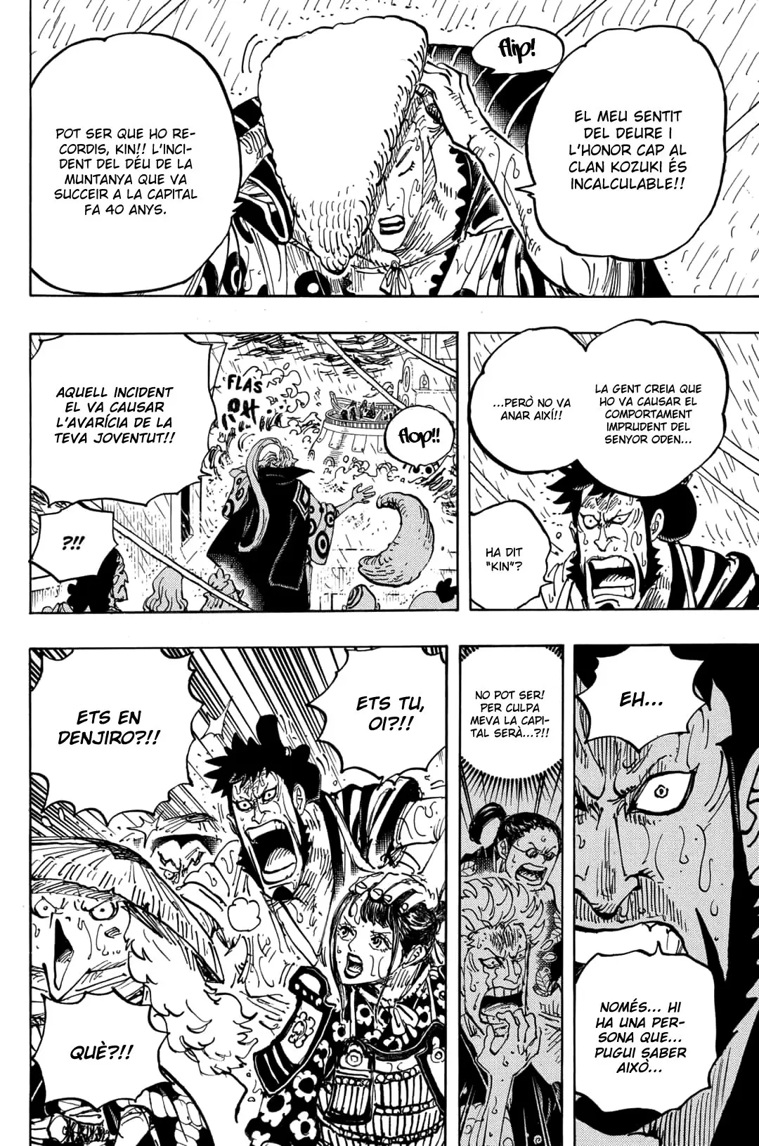 One Piece (Català) (1997) - Capítulo 975 - Página 12 - LectorTMOo
