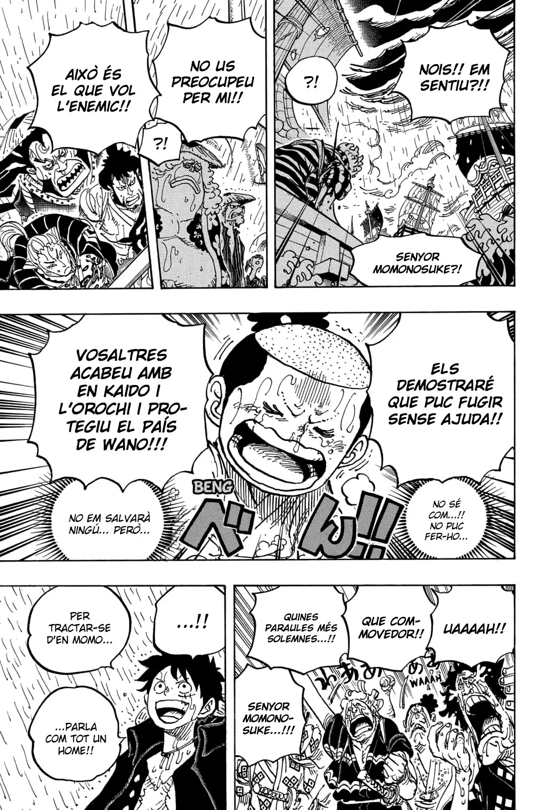 One Piece (Català) (1997) - Capítulo 976 - Página 9 - LectorTMOo