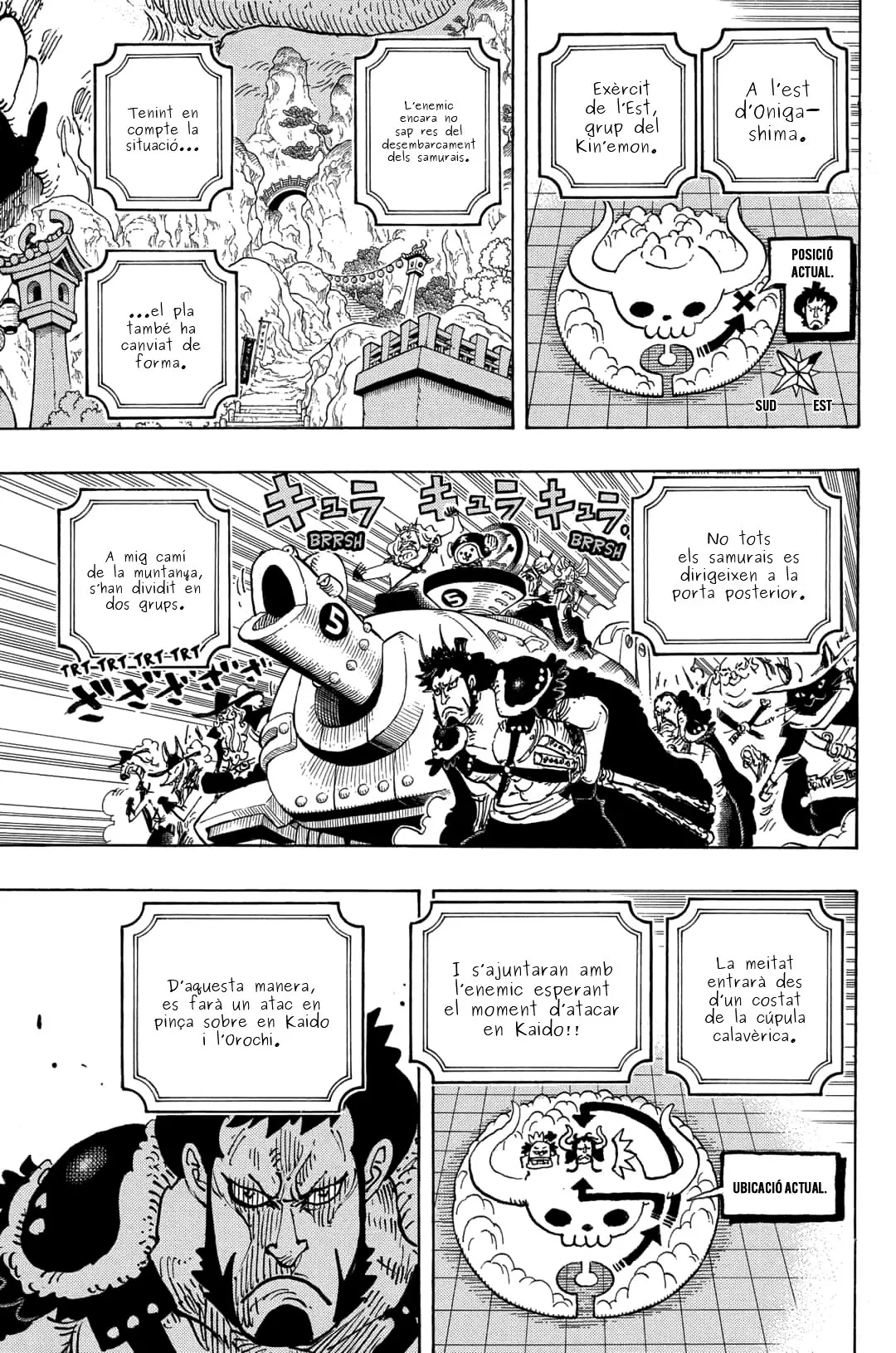 One Piece (Català) (1997) - Capítulo 981 - Página 10 - LectorTMOo