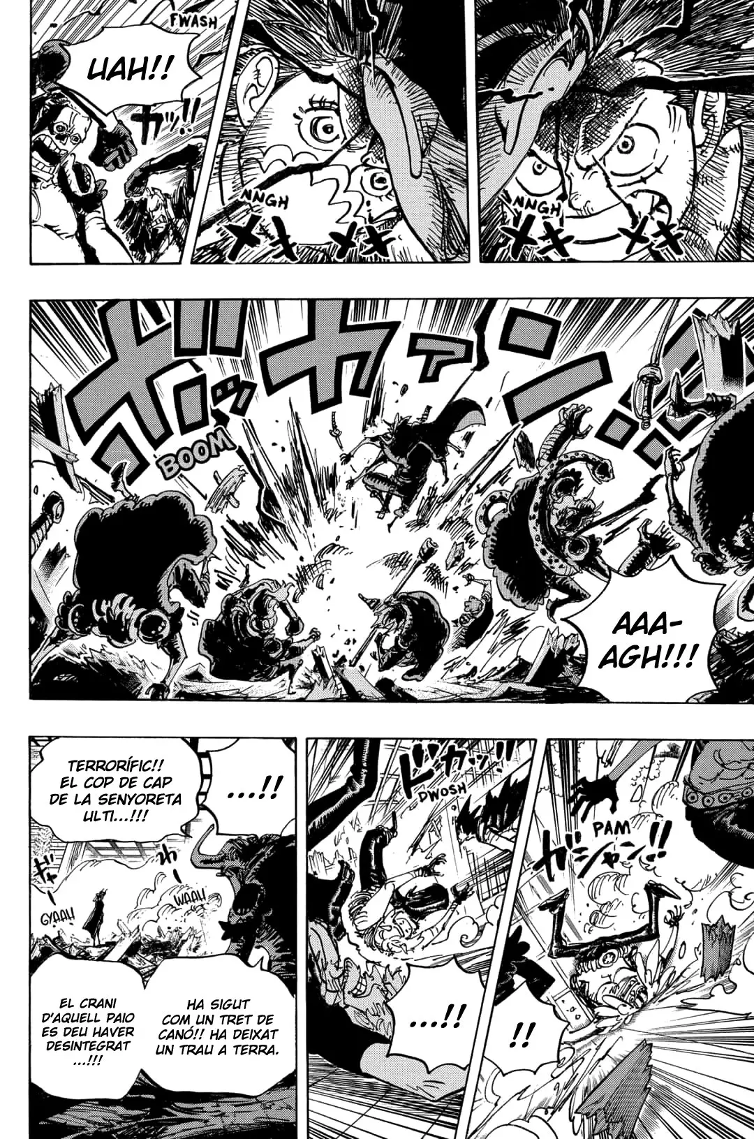 One Piece (Català) (1997) - Capítulo 983 - Página 10 - LectorTMOo
