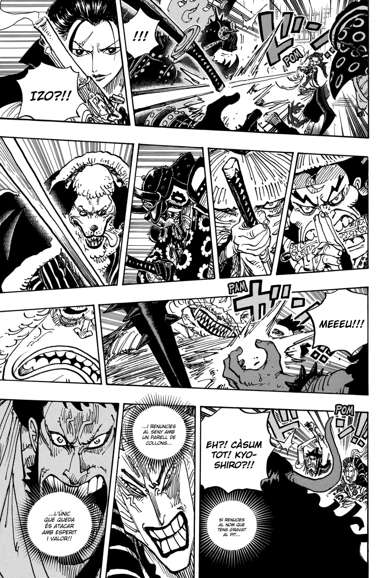 One Piece (Català) (1997) - Capítulo 986 - Página 14 - LectorTMOo