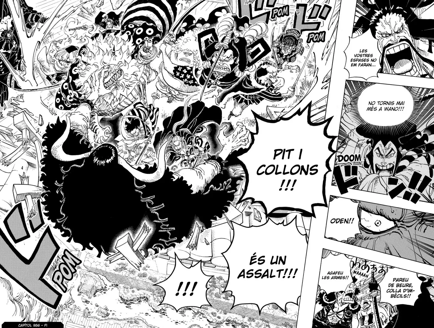 One Piece (Català) (1997) - Capítulo 986 - Página 15 - LectorTMOo