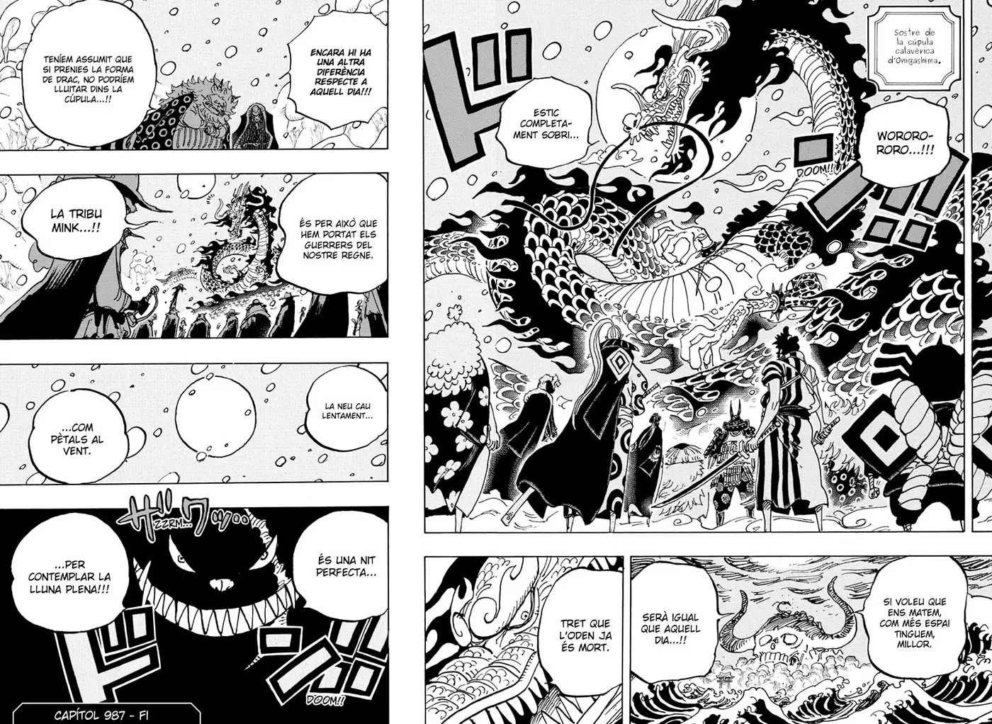 One Piece (Català) (1997) - Capítulo 987 - Página 14 - LectorTMOo