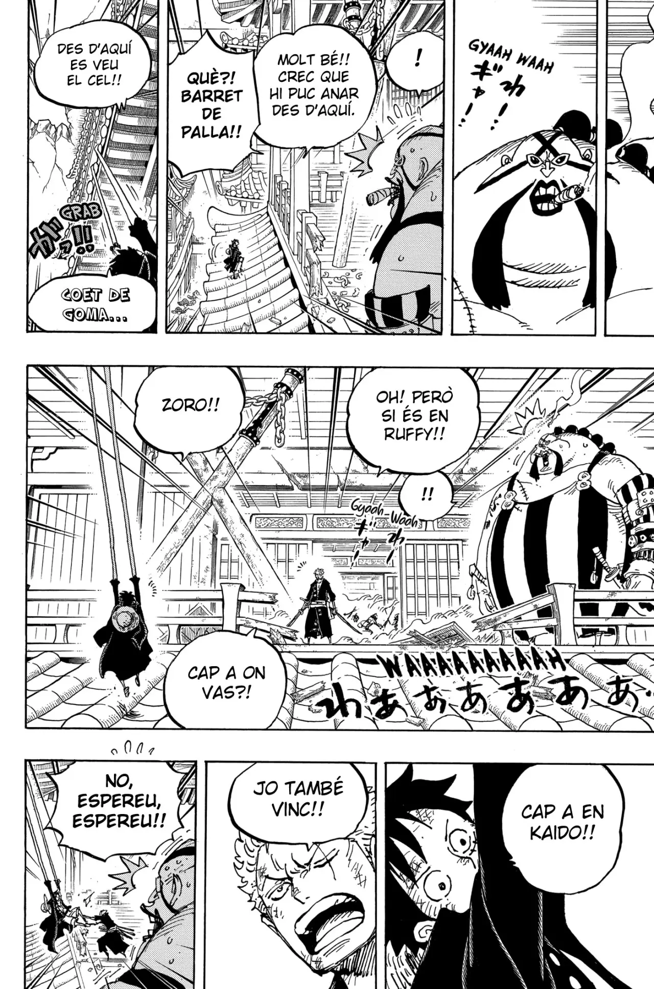 One Piece (Català) (1997) - Capítulo 989 - Página 10 - LectorTMOo