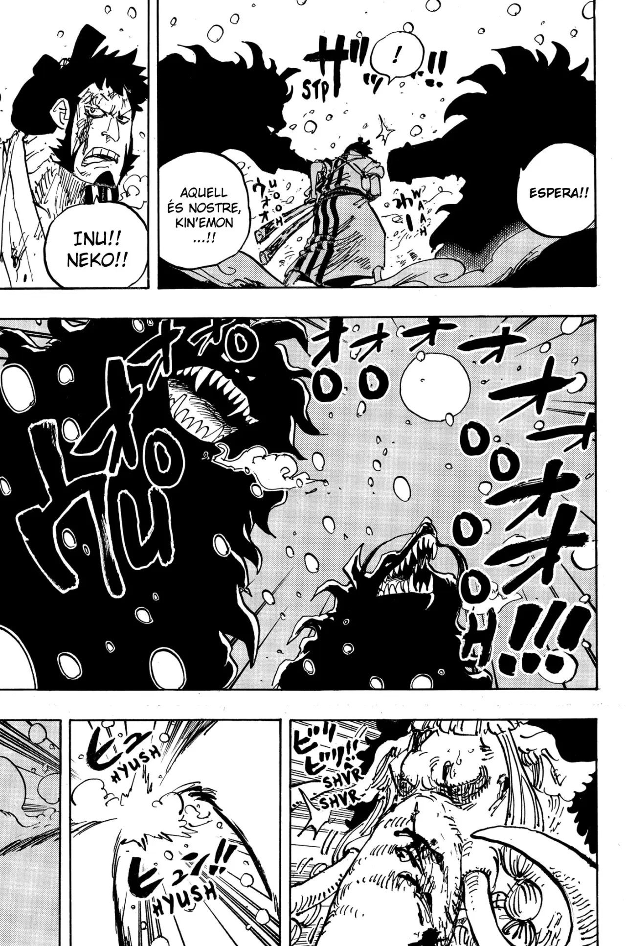 One Piece (Català) (1997) - Capítulo 990 - Página 5 - LectorTMOo