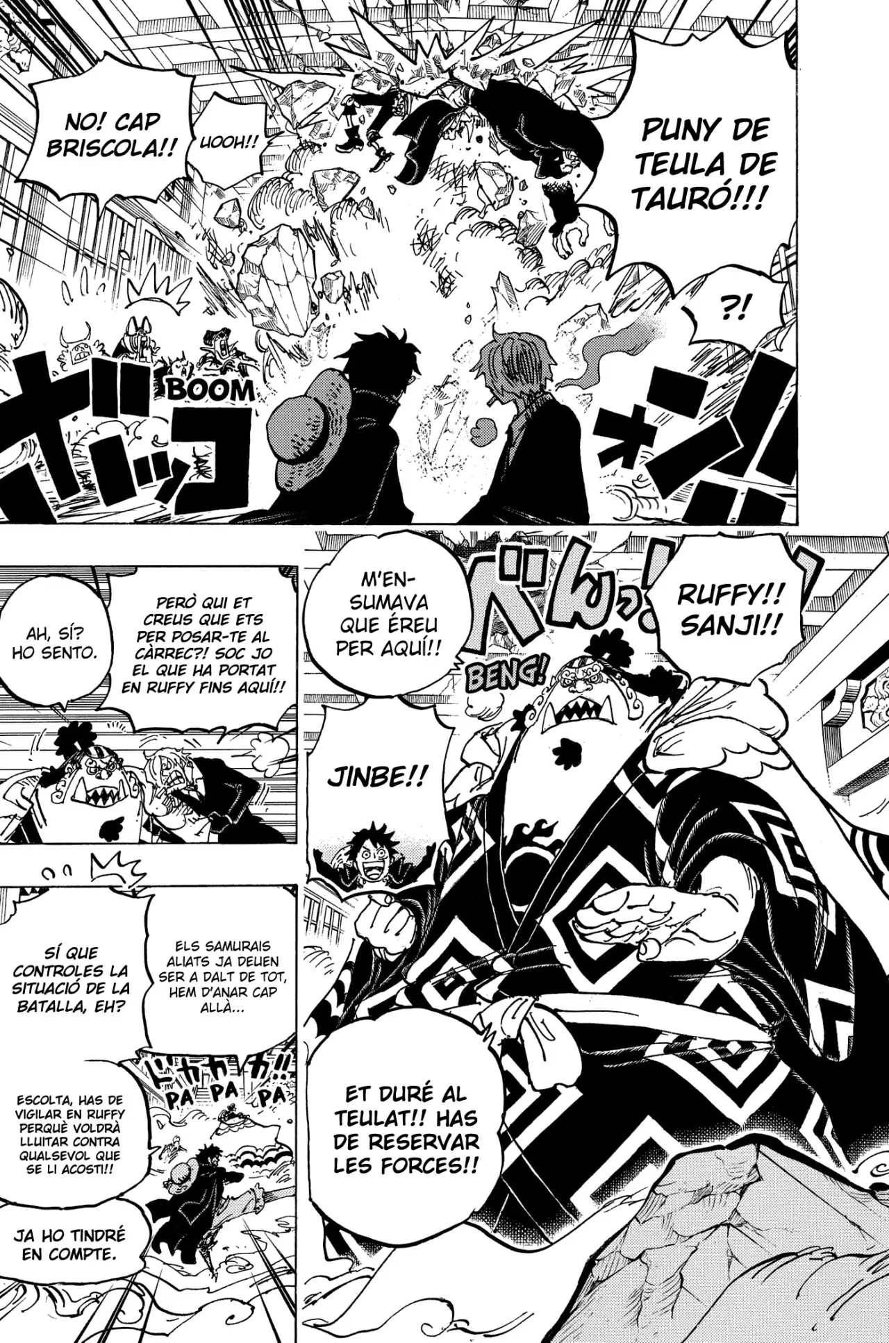 One Piece (Català) (1997) - Capítulo 993 - Página 9 - LectorTMOo