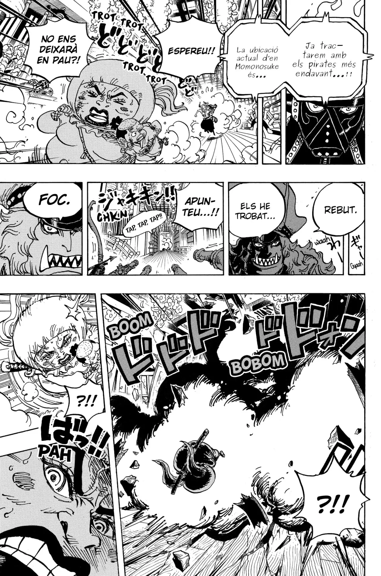 One Piece (Català) (1997) - Capítulo 993 - Página 11 - LectorTMOo