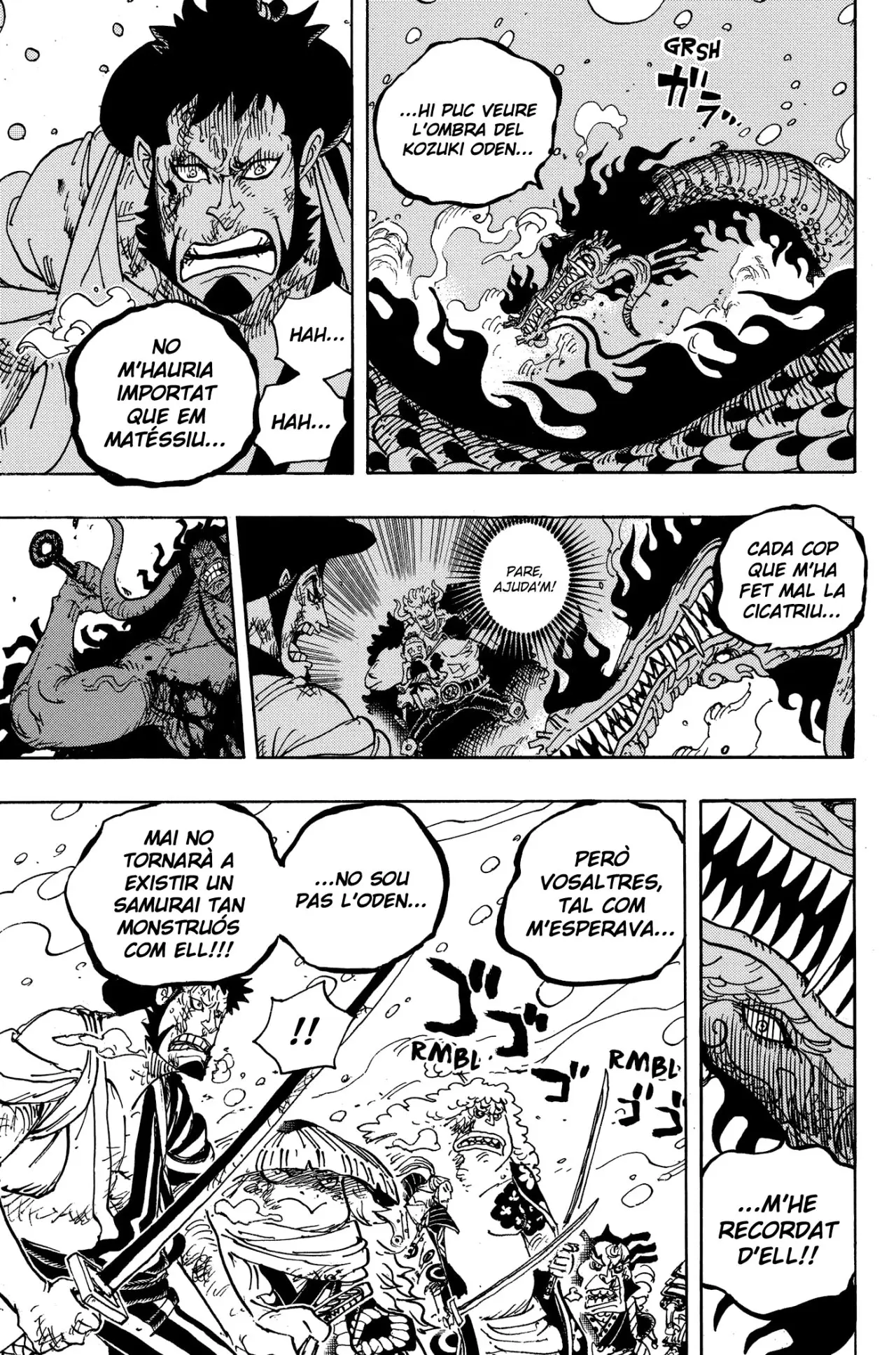 One Piece (Català) (1997) - Capítulo 993 - Página 14 - LectorTMOo