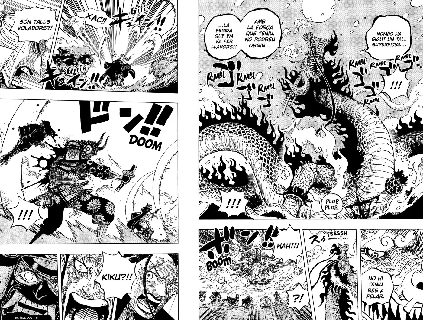 One Piece (Català) (1997) - Capítulo 993 - Página 15 - LectorTMOo
