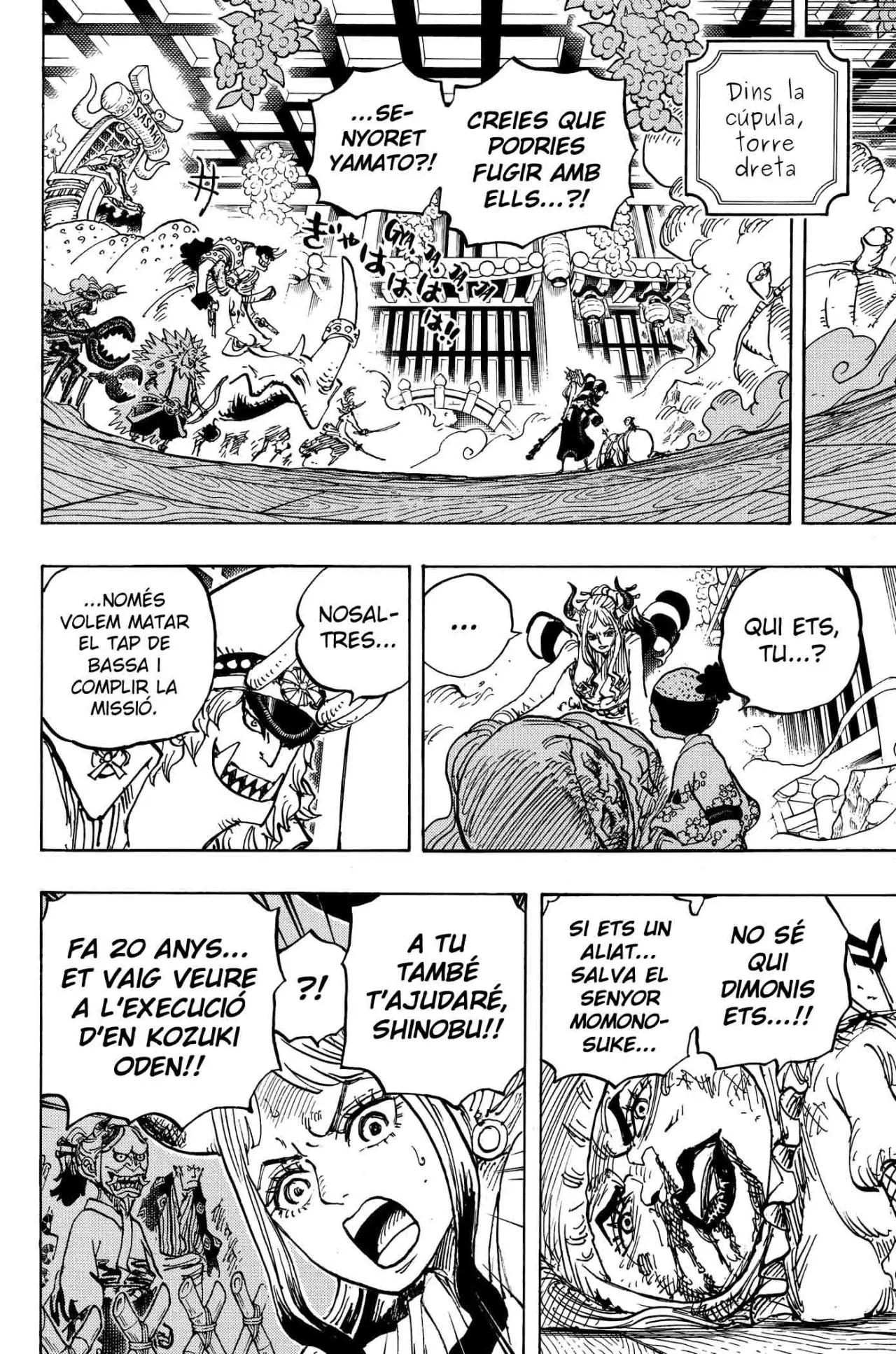One Piece (Català) (1997) - Capítulo 994 - Página 13 - LectorTMOo