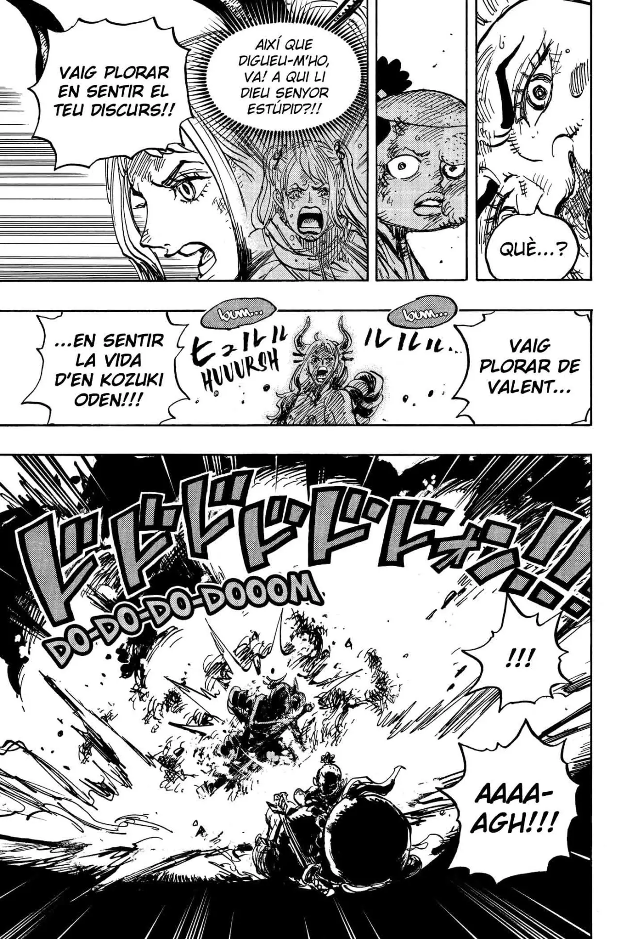 One Piece (Català) (1997) - Capítulo 994 - Página 14 - LectorTMOo