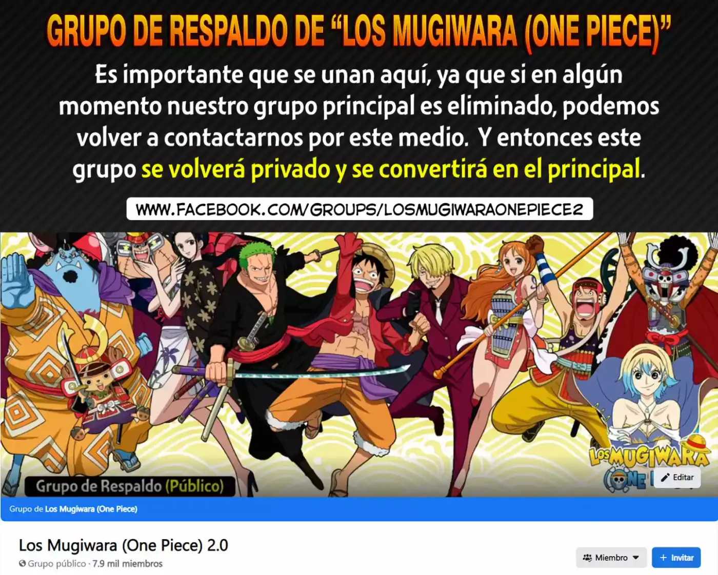 One Piece (1997) - Capítulo 1039 - Página 17 - LectorTMOo