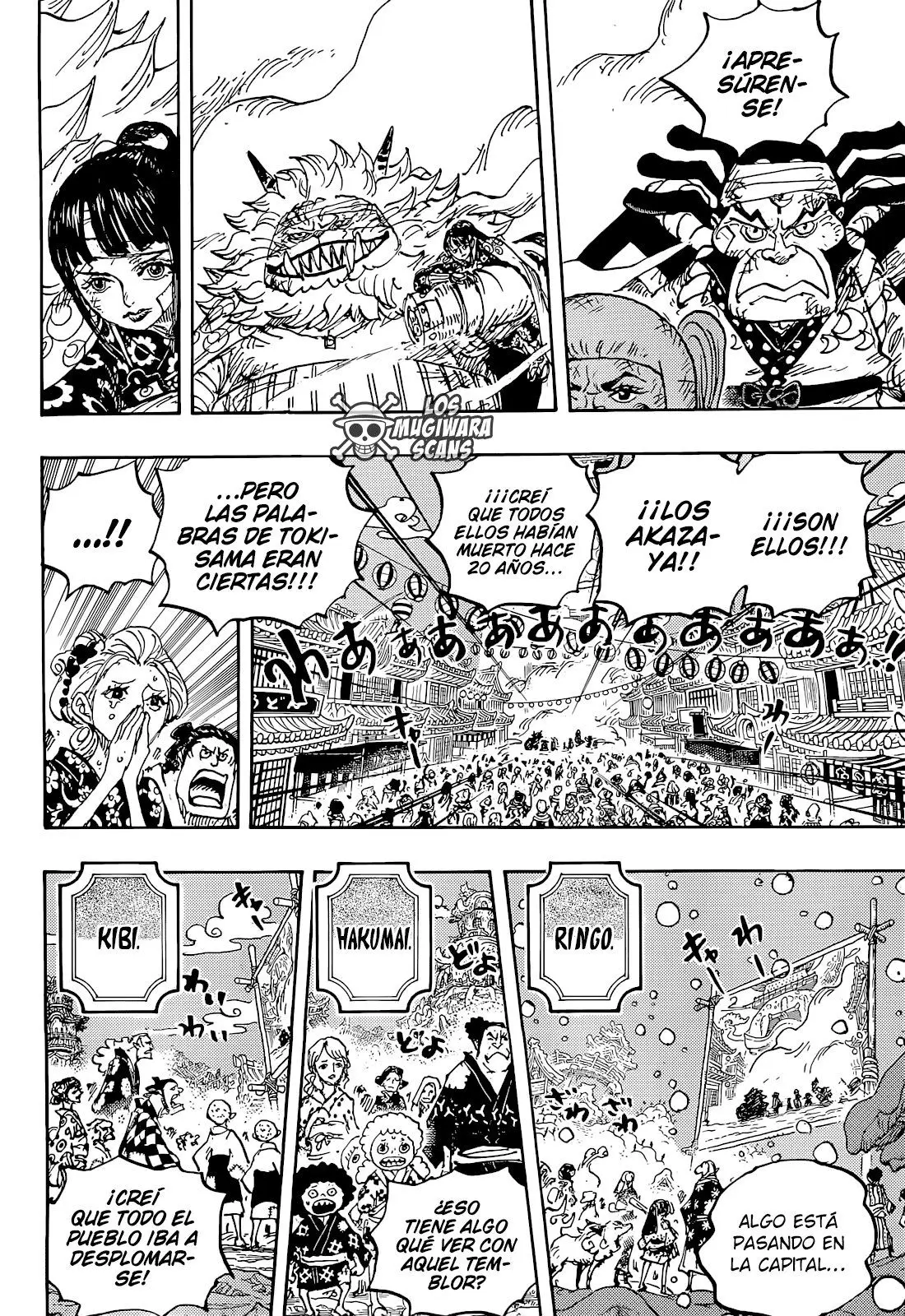 One Piece (1997) - Capítulo 1051 - Página 5 - LectorTMOo