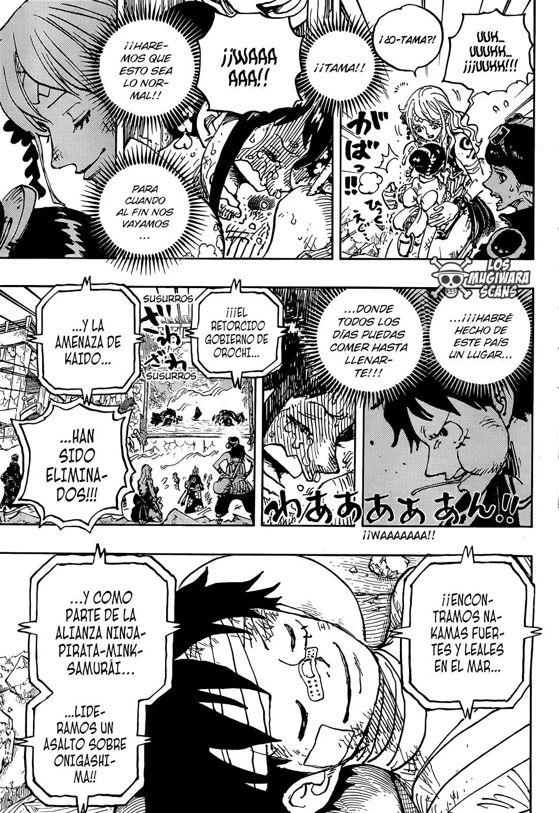 One Piece (1997) - Capítulo 1051 - Página 12 - LectorTMOo