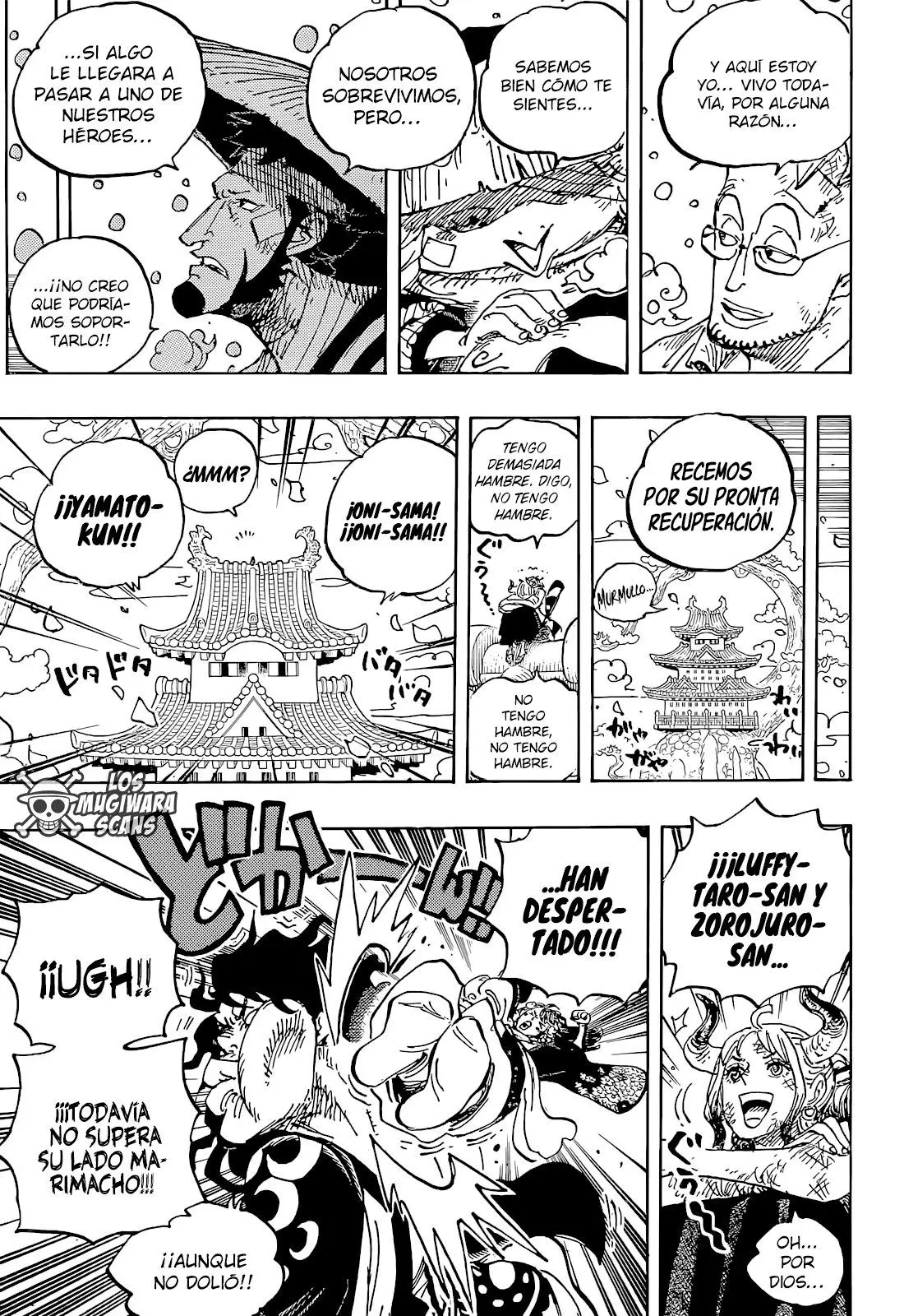 One Piece (1997) - Capítulo 1052 - Página 10 - LectorTMOo