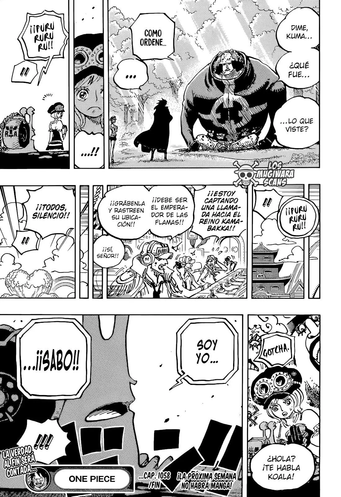 One Piece (1997) - Capítulo 1058 - Página 17 - LectorTMOo