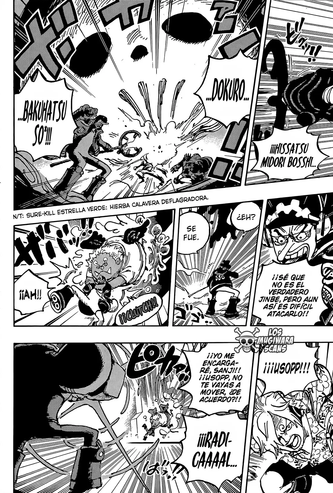 One Piece (1997) - Capítulo 1065 - Página 13 - LectorTMOo