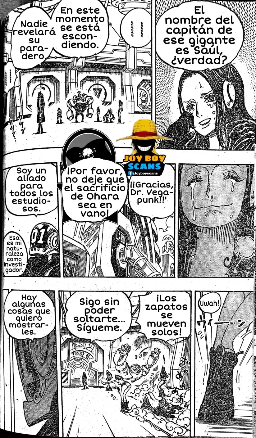 One Piece (1997) - Capítulo 1066 - Página 14 - LectorTMOo