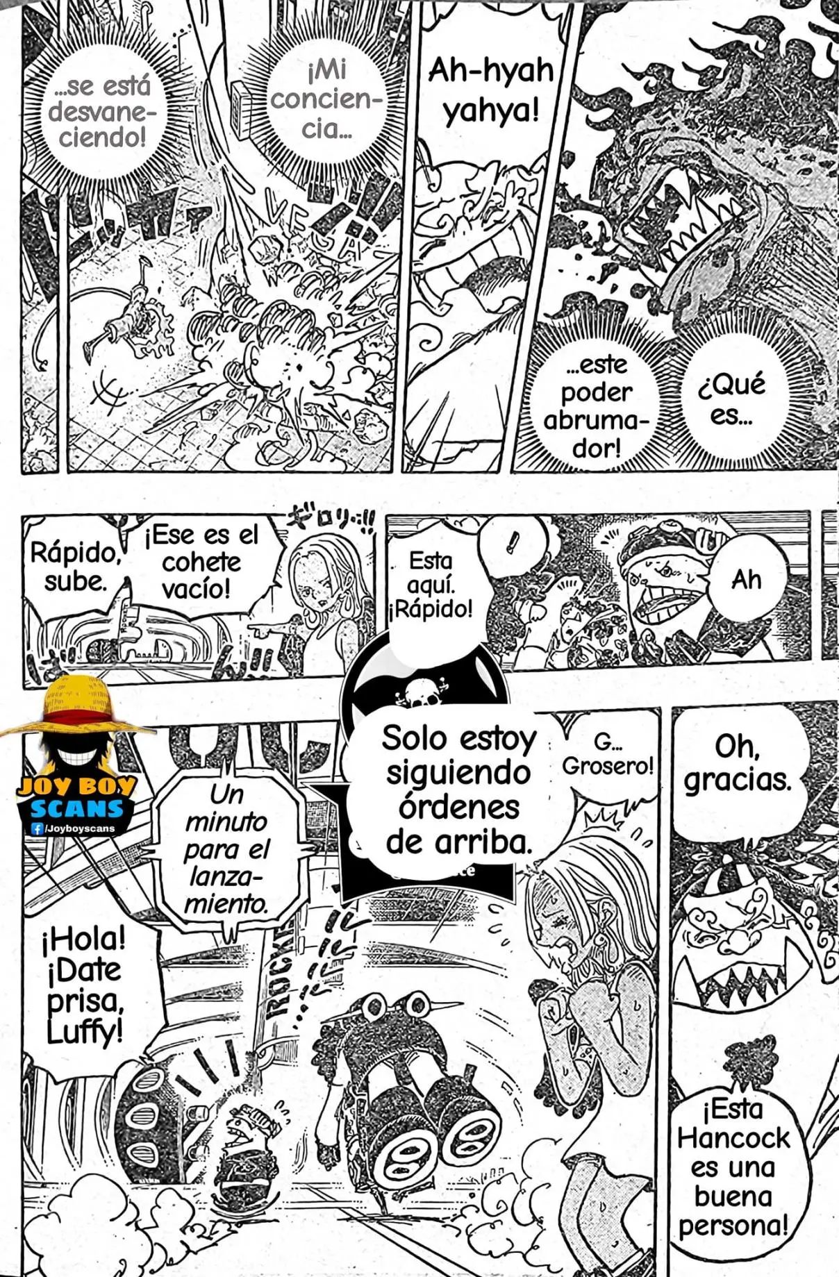 One Piece (1997) - Capítulo 1070 - Página 12 - LectorTMOo