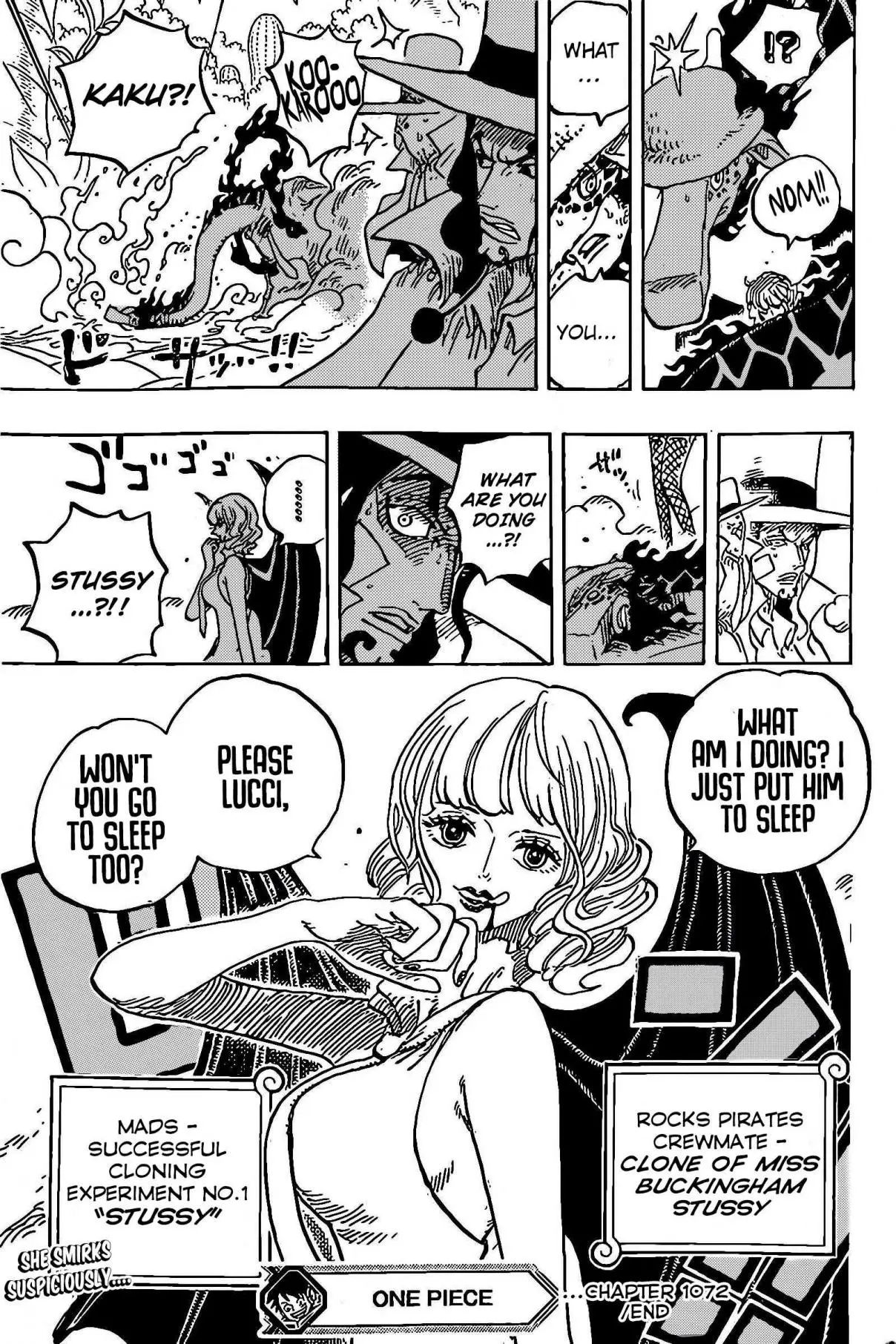 One Piece (1997) - Capítulo 1072 - Página 16 - LectorTMOo