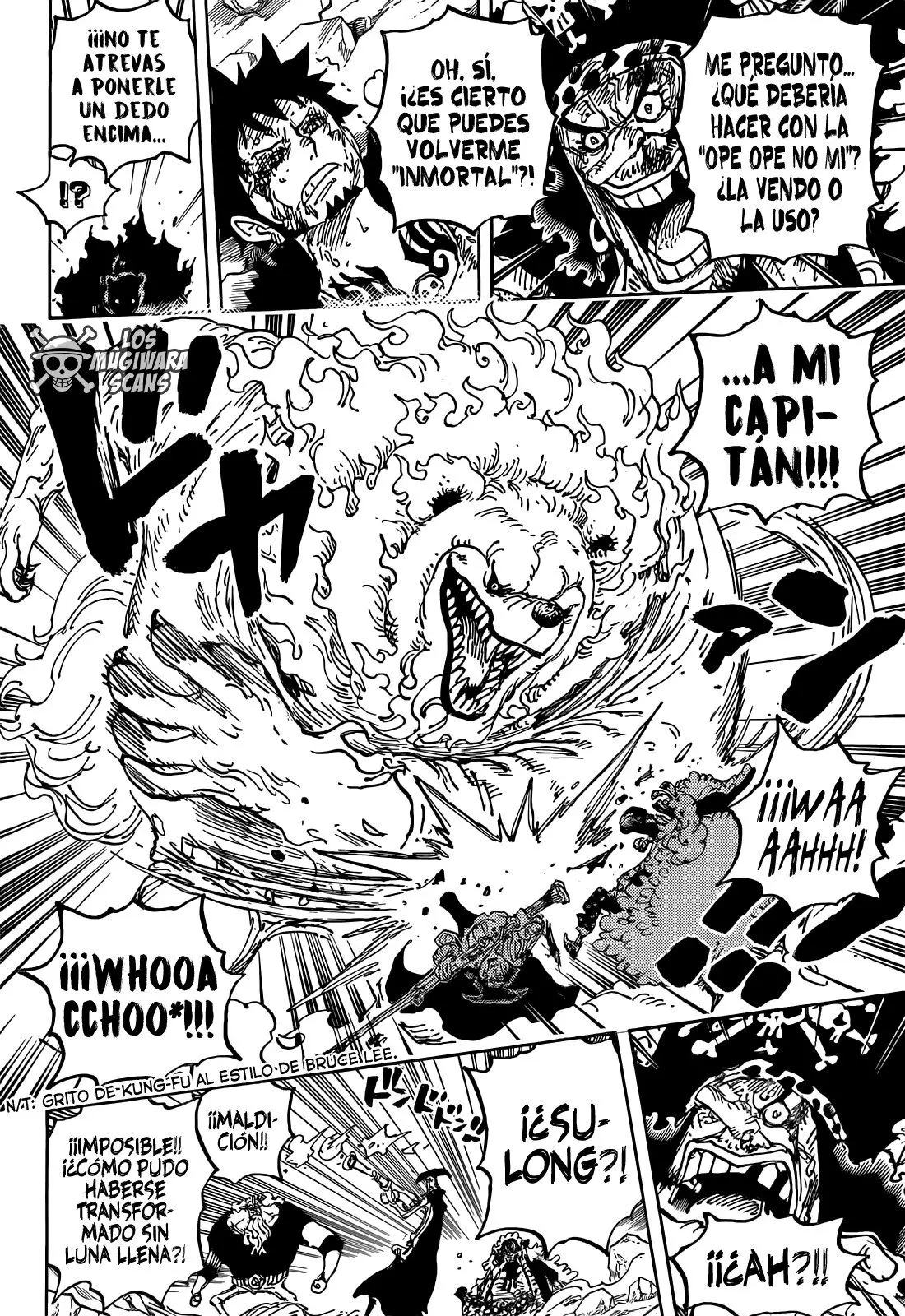 One Piece (1997) - Capítulo 1081 - Página 16 - LectorTMOo