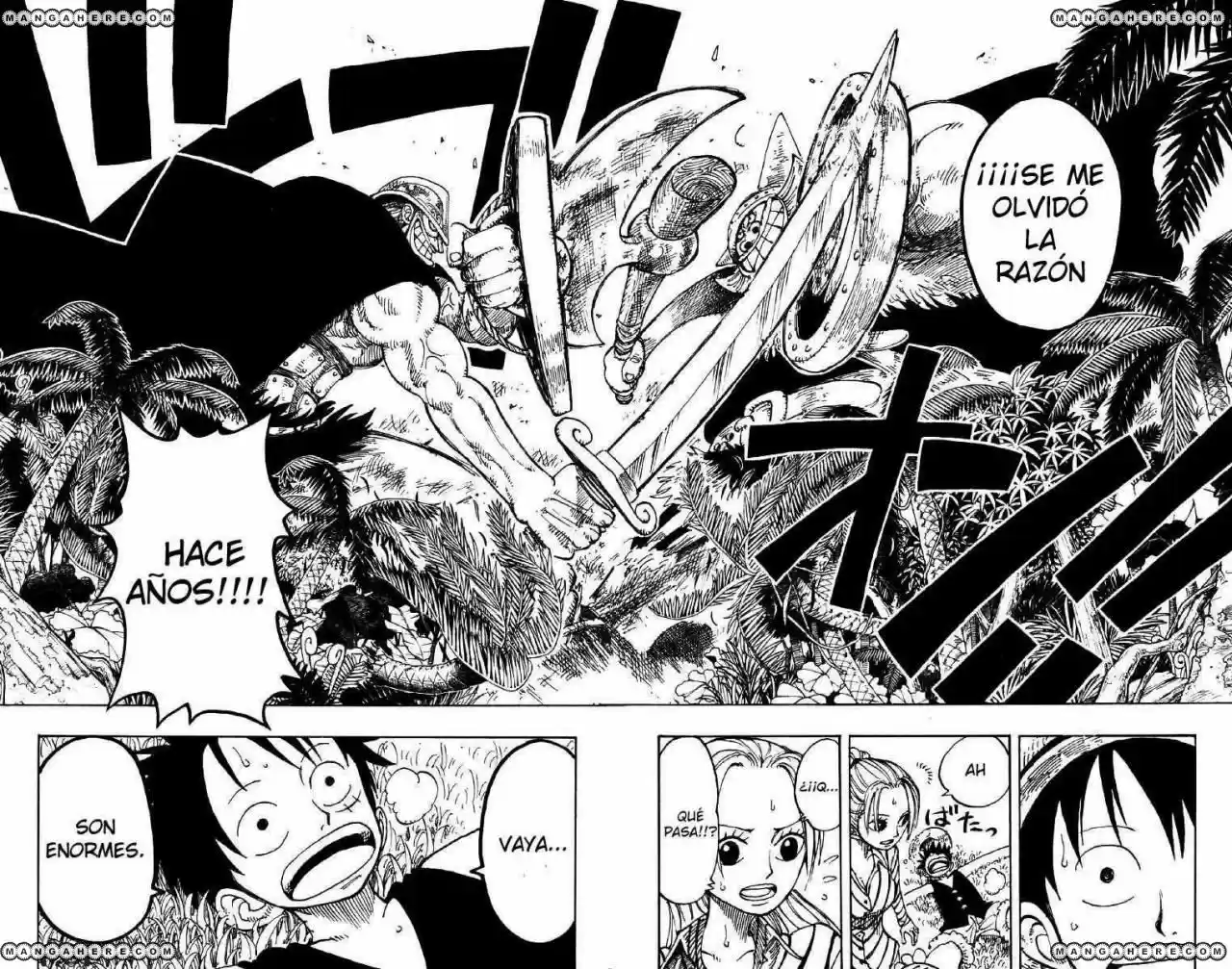 One Piece (1997) - Capítulo 116 - Página 18 - LectorTMOo