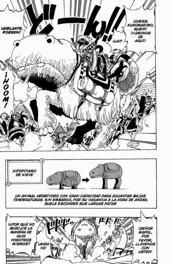 One Piece (1997) - Capítulo 137 - Página 16 - LectorTMOo