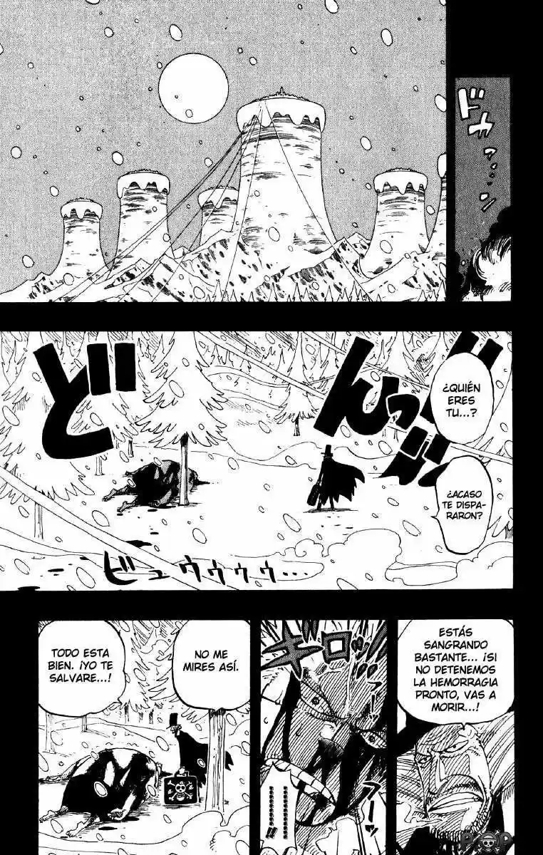One Piece (1997) - Capítulo 141 - Página 15 - LectorTMOo