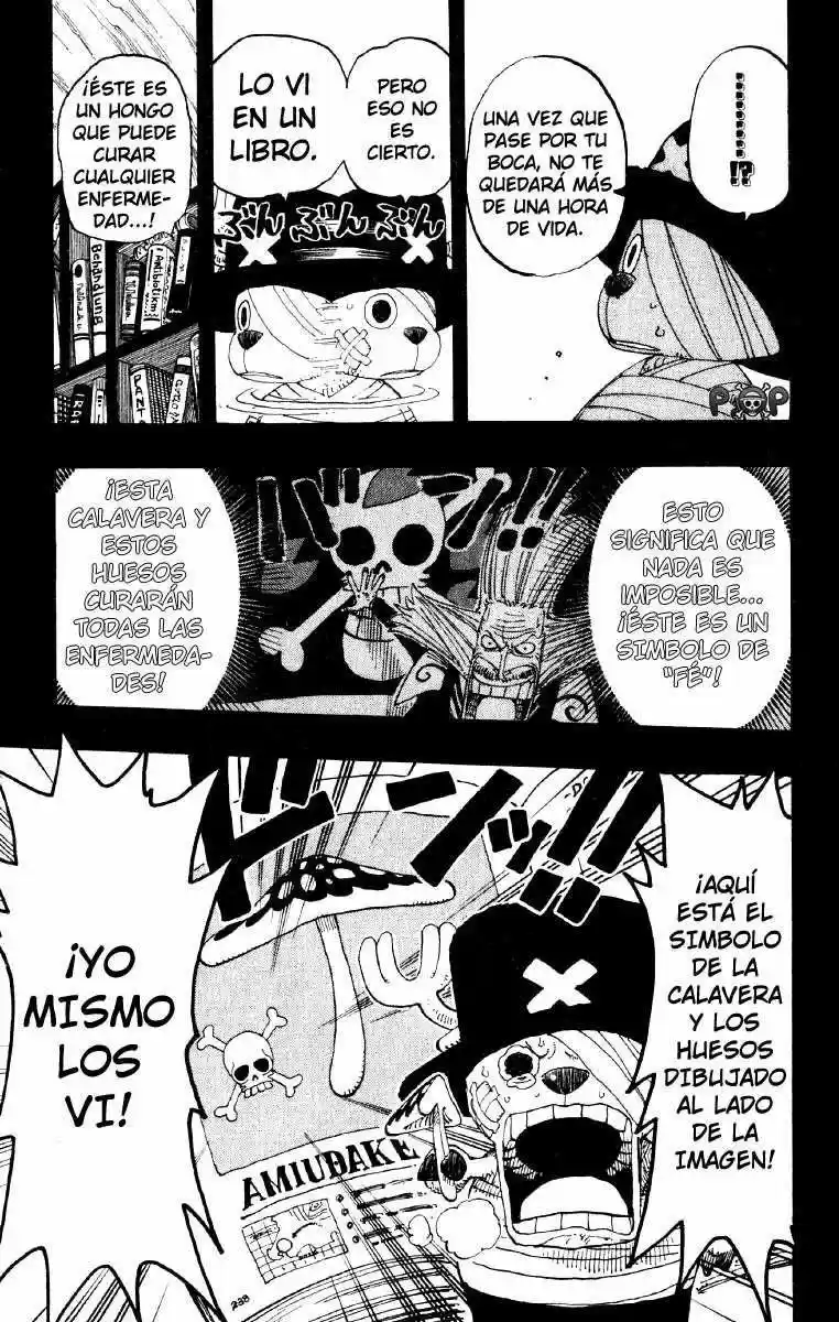 One Piece (1997) - Capítulo 144 - Página 15 - LectorTMOo