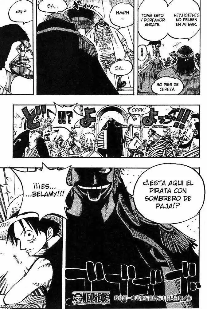 One Piece (1997) - Capítulo 223 - Página 19 - LectorTMOo