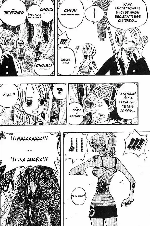 One Piece (1997) - Capítulo 230 - Página 12 - LectorTMOo