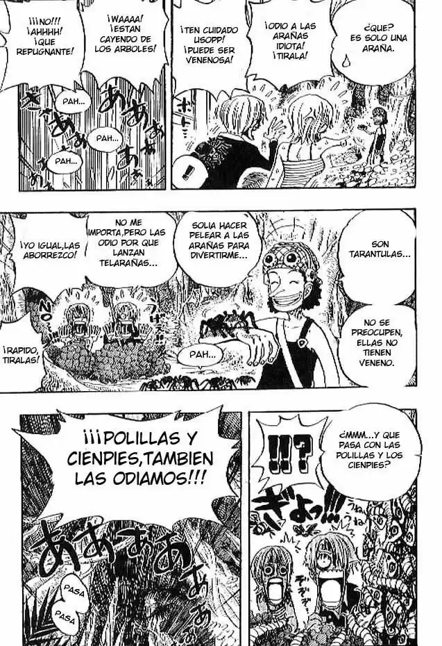 One Piece (1997) - Capítulo 230 - Página 13 - LectorTMOo