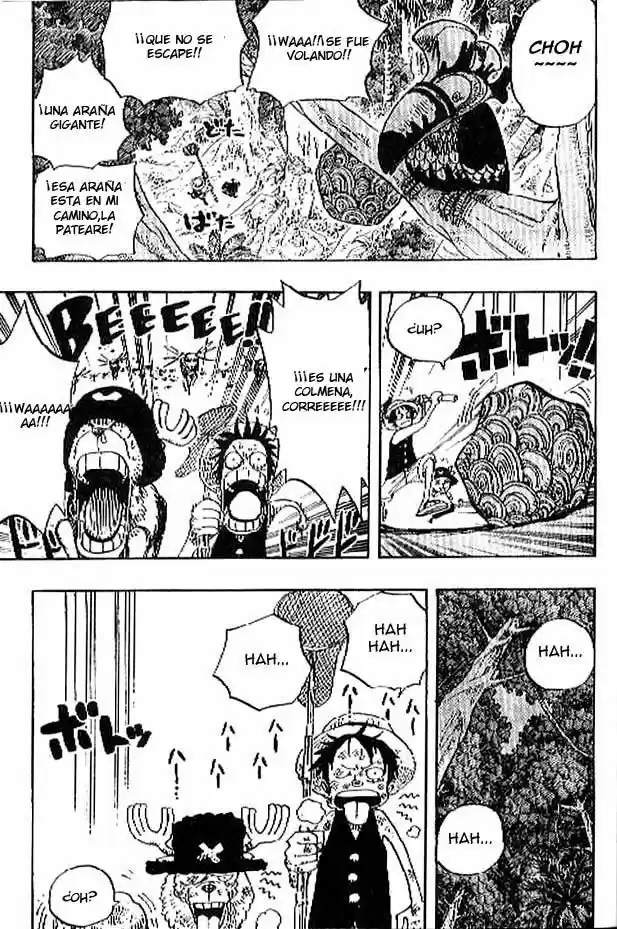 One Piece (1997) - Capítulo 230 - Página 17 - LectorTMOo