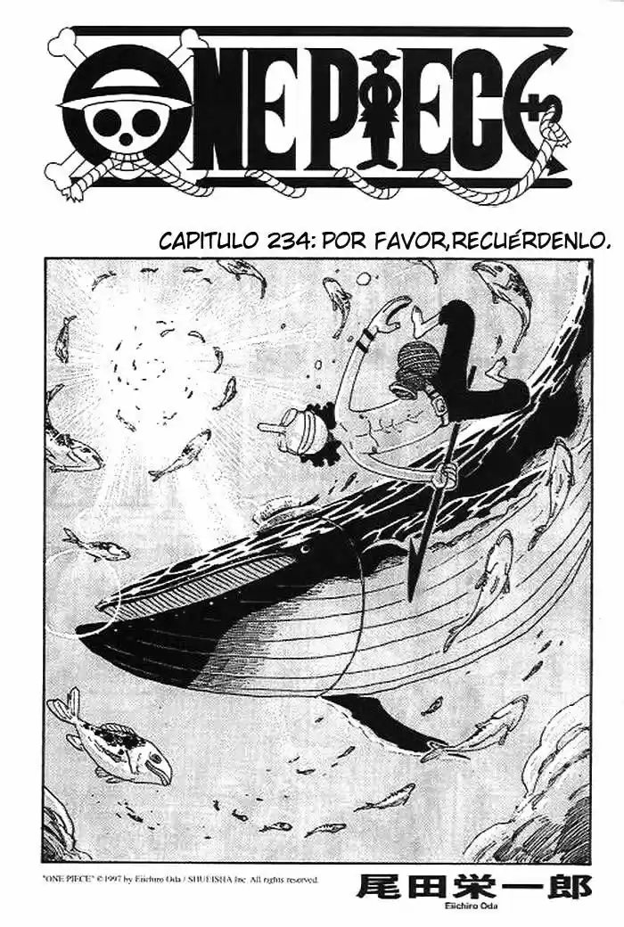 One Piece (1997) - Capítulo 234 - Página 1 - LectorTMOo