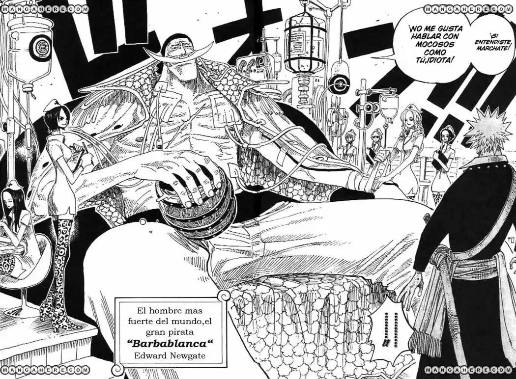 One Piece (1997) - Capítulo 234 - Página 12 - LectorTMOo