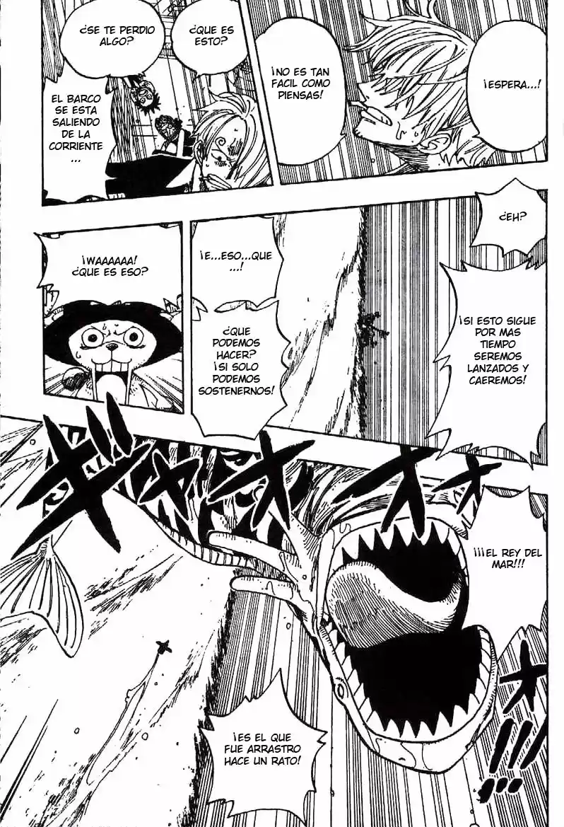 One Piece (1997) - Capítulo 236 - Página 14 - LectorTMOo