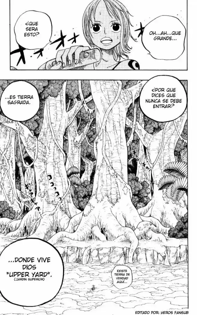 One Piece (1997) - Capítulo 240 - Página 17 - LectorTMOo